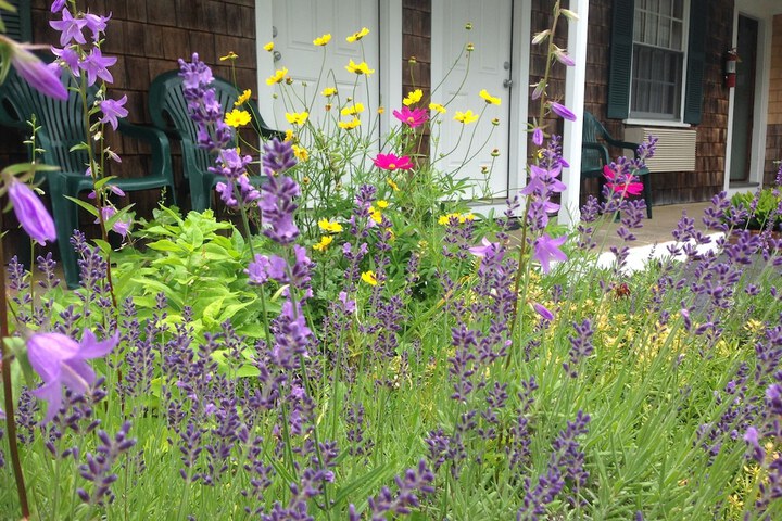 Hotel Exterior 25 of 30