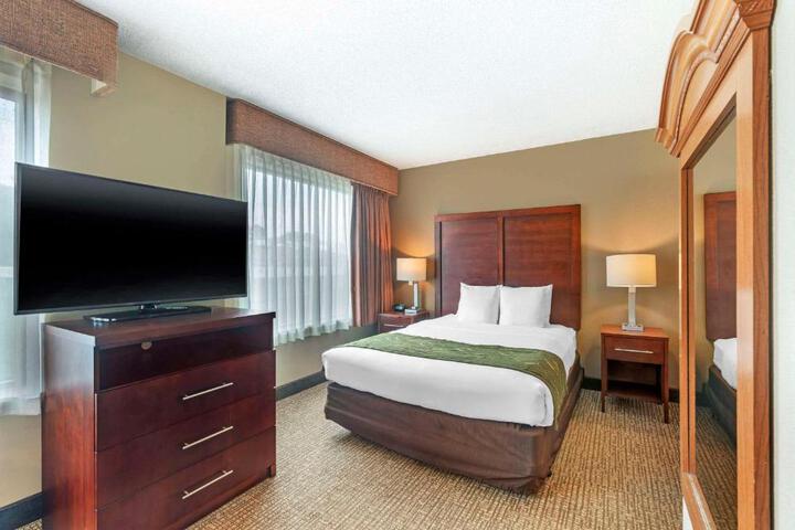 1 King Bed (6 of 11)