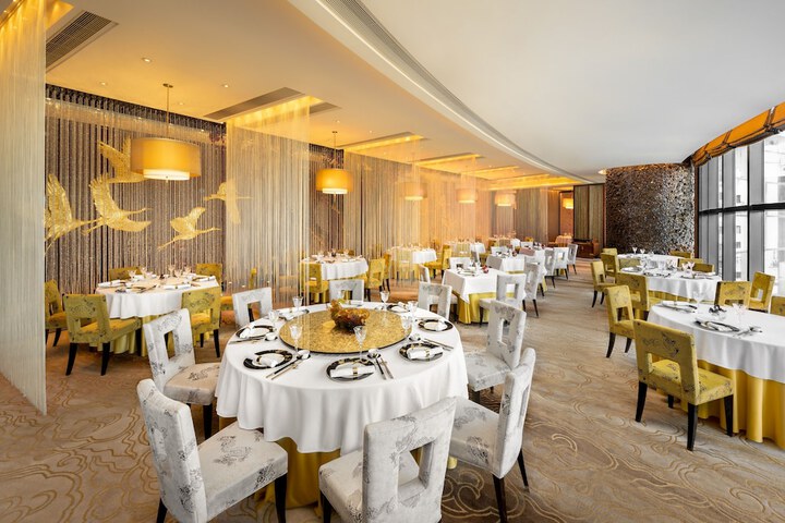 Dining 50 of 87