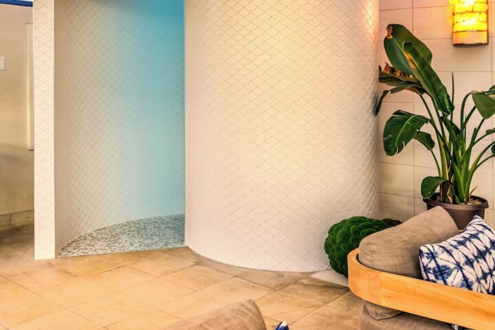 Spa and Wellness