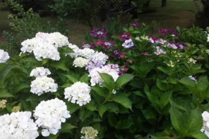 Property Grounds 55 of 60