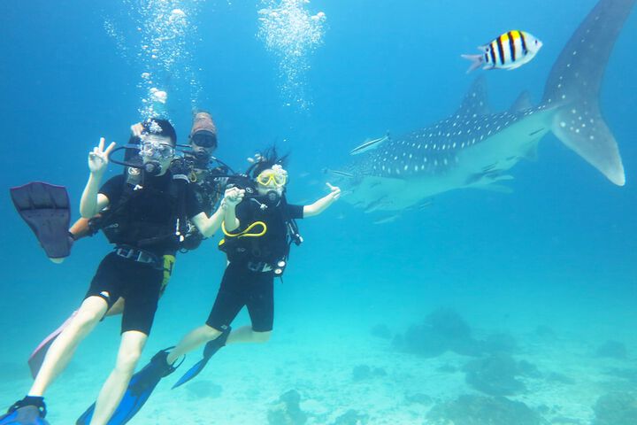 Water Sports 103 of 137