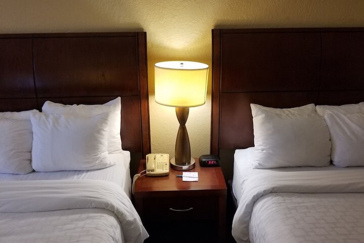 2 Double Beds Accessible (37 of 49)