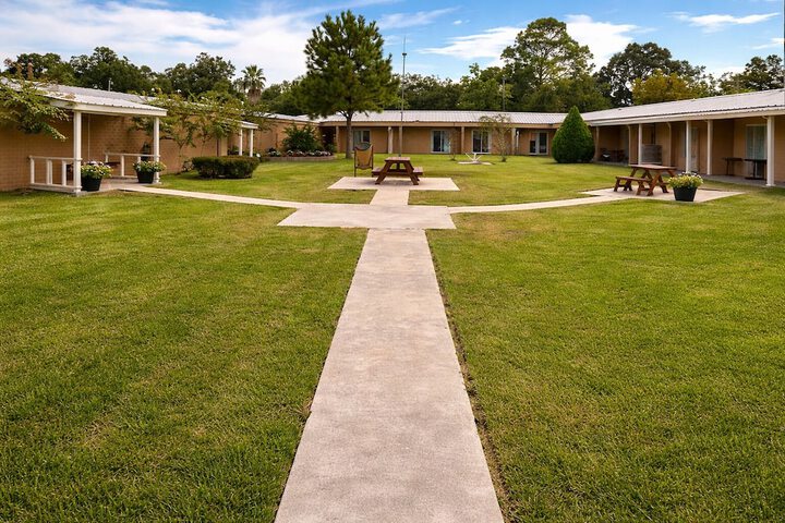 Garden view