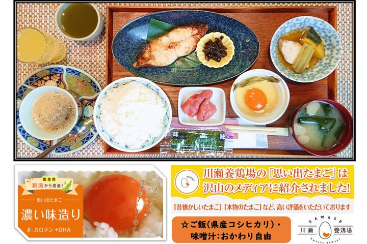 Shibata Dai-Ichi Hotel