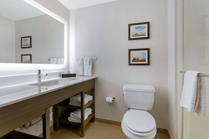 1 King Bed Bathtub Accessible (20 of 24)