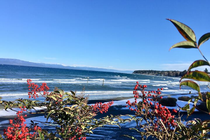 Beach/ocean view