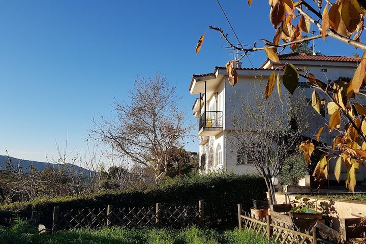 General 2 of 8