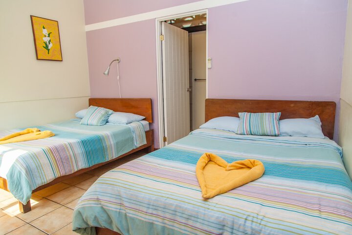 Room 4 of 67