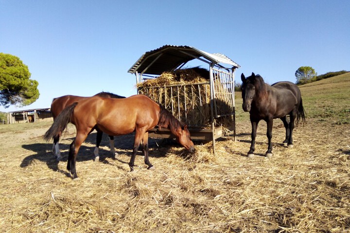 Ecotours