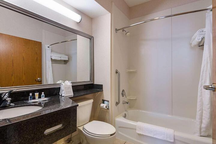 1 King Bed Suite (8 of 21)