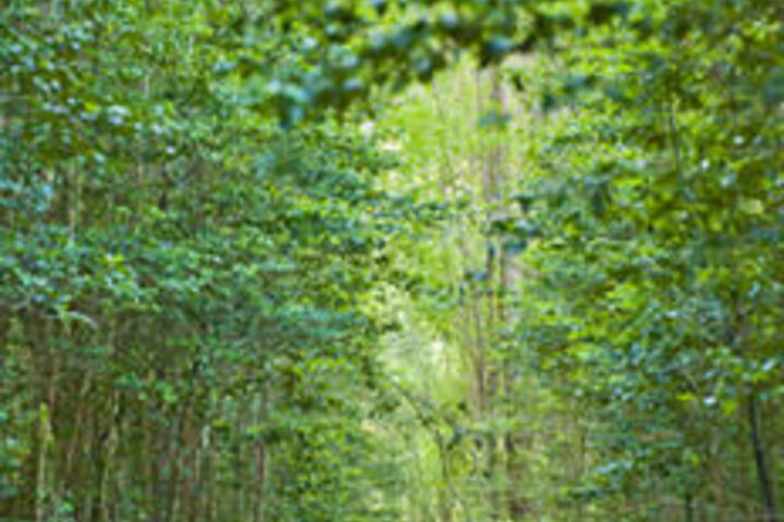 Property Grounds 18 of 20