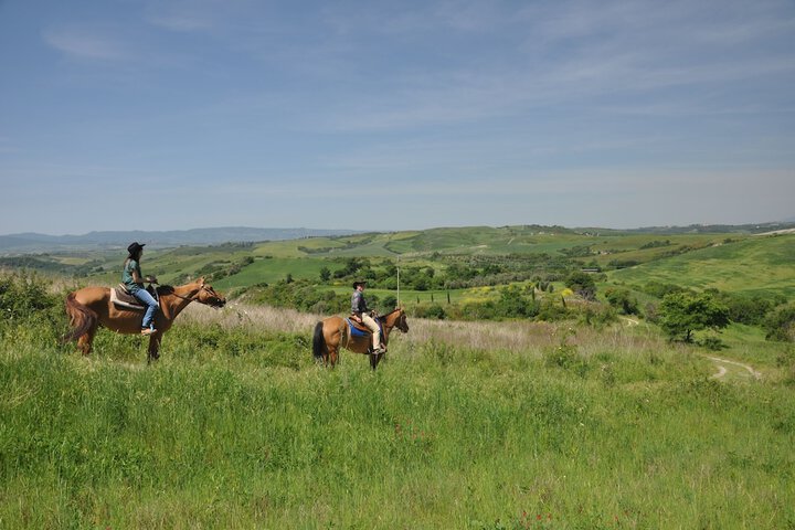 Horseback riding