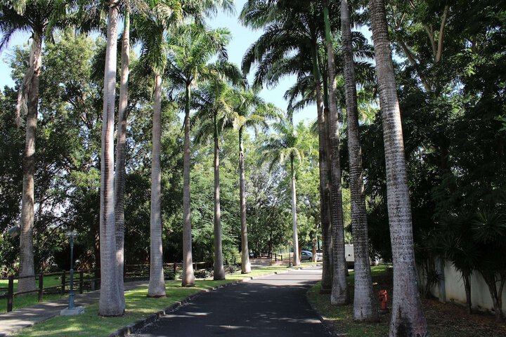 Image of Serinity
