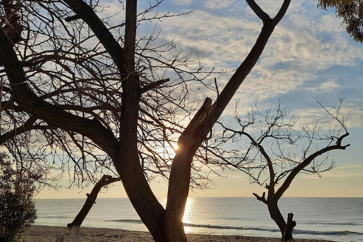 Beach 47 of 60
