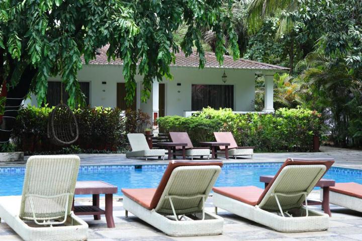 Wild Berry Resort Agonda