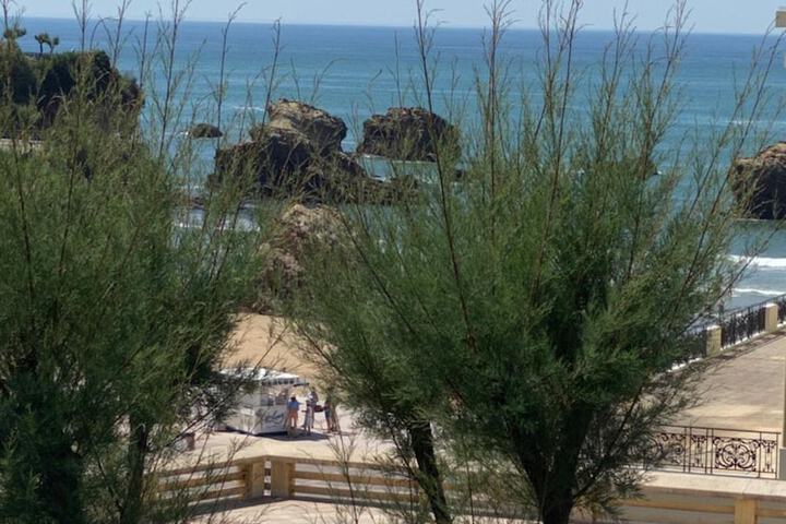 Terrace/Patio 13 of 21