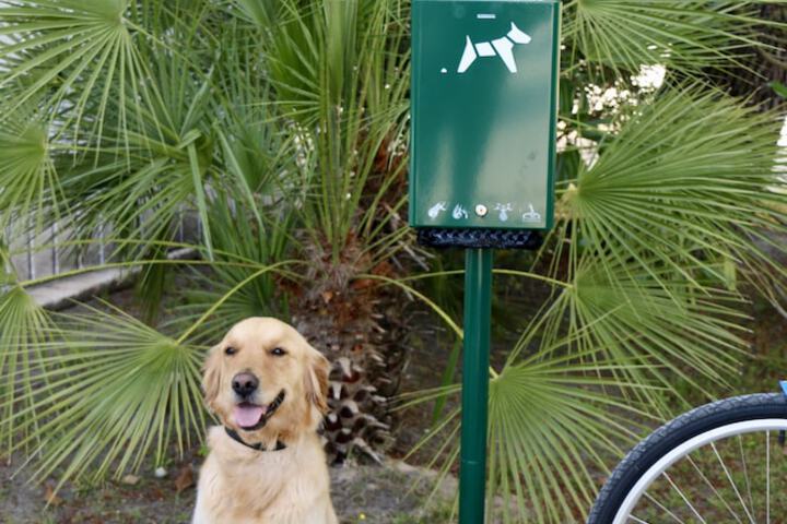 Pet Friendly 63 of 79