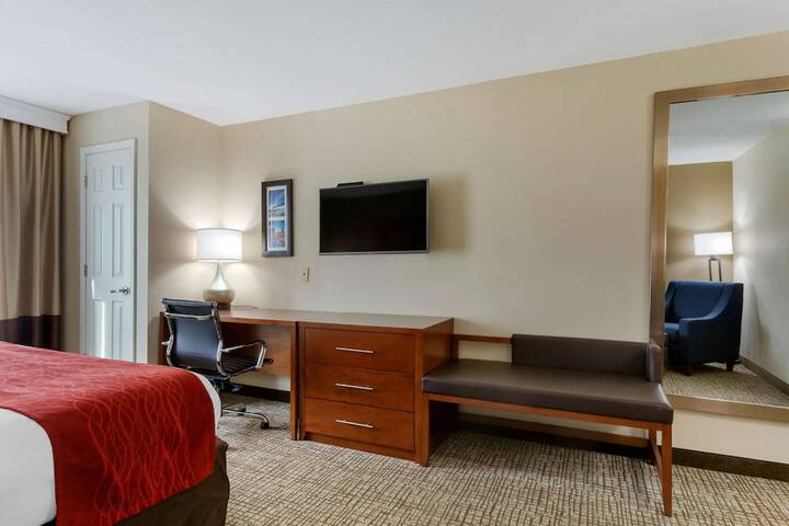 1 King Bed Accessible (9 of 11)
