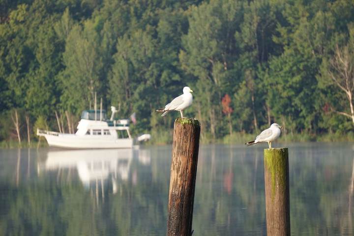 Water Sports 23 of 42