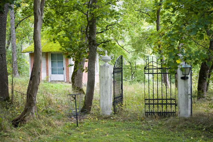 Property Grounds 47 of 62