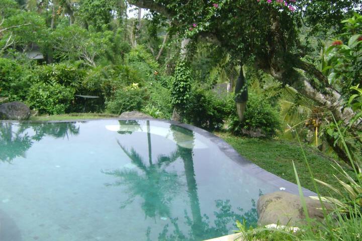Pool 47 of 65