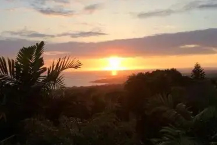 Image of Ohana Pua Hale