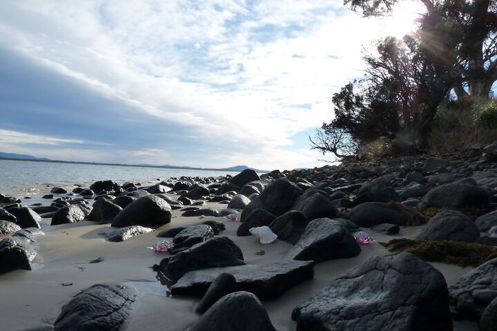 Beach 28 of 45