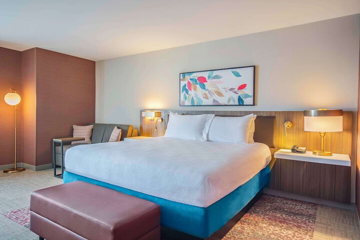 1 King Premium with in Room Drinks Snacks (12 of 17)