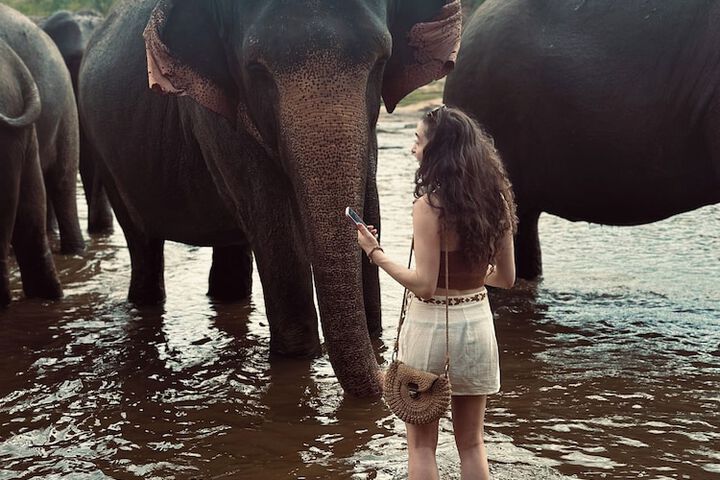 Elepath Lodge - Pinnawala