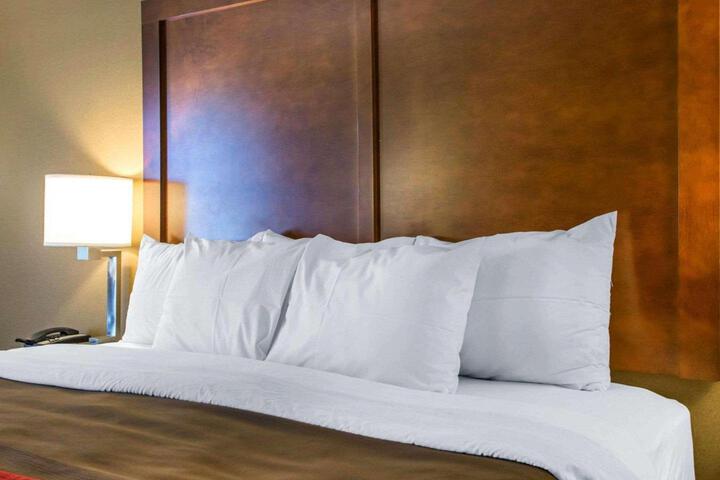 1 King Bed (5 of 9)
