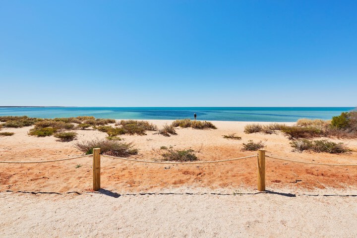 Beach 104 of 122