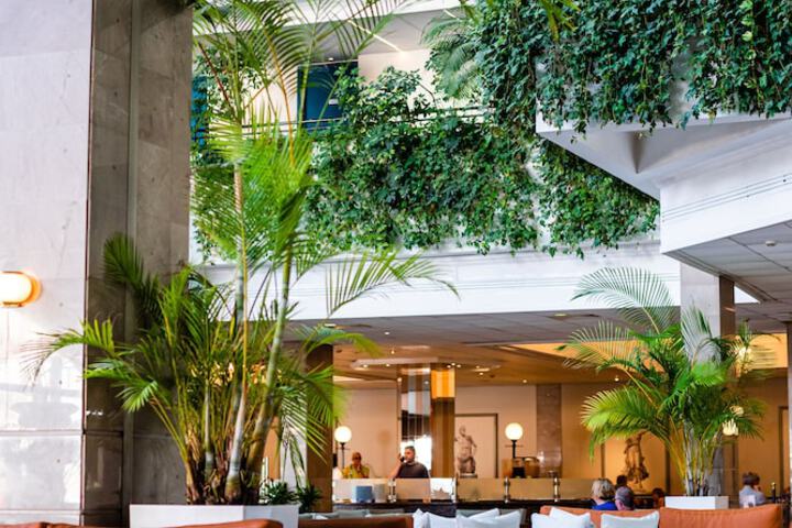 Lobby Photos