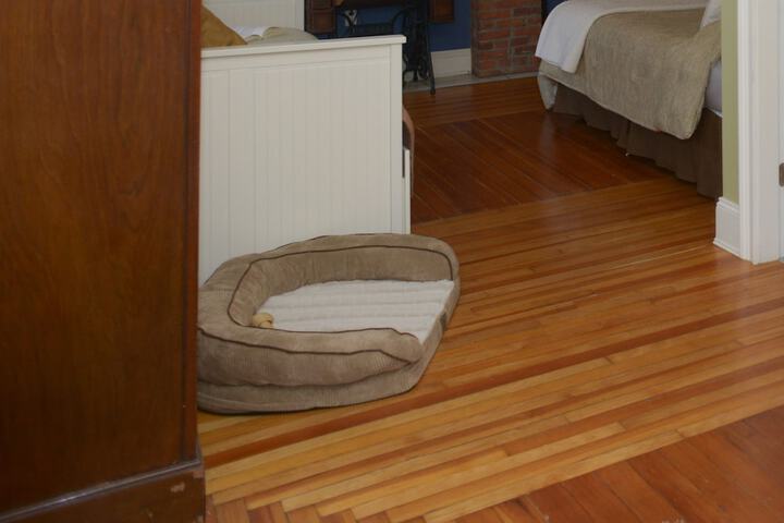 Pet Friendly 57 of 73