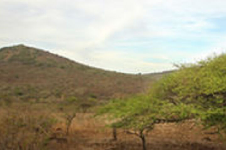 Hotel View 28 of 28