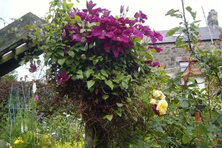 Photo 13