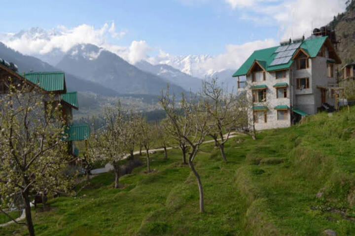 The White Stone Resorts
