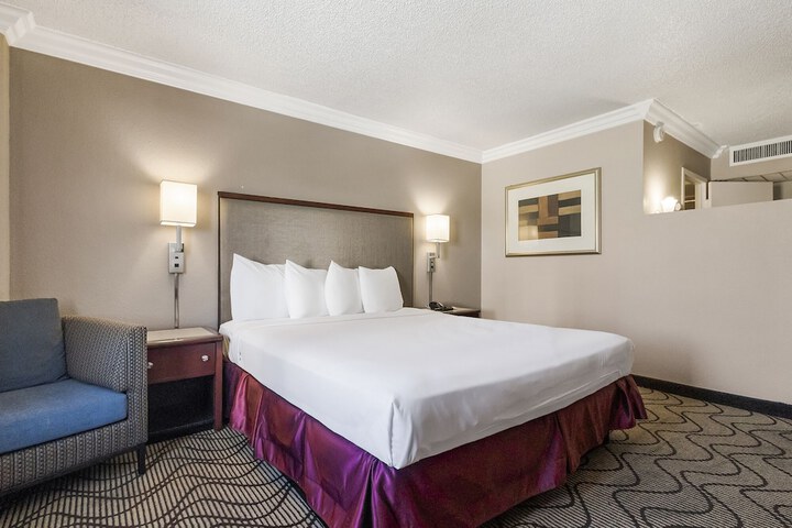 Standard King Bed Accessible (7 of 16)