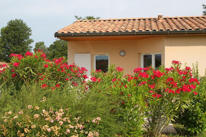 Outside Photo