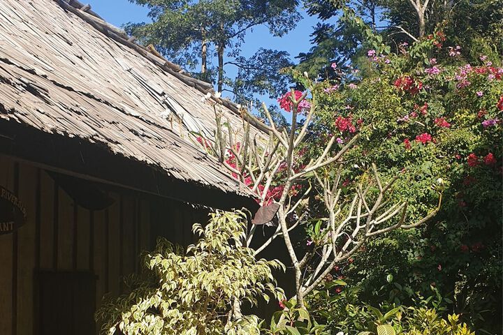 Nong Kiau Riverside