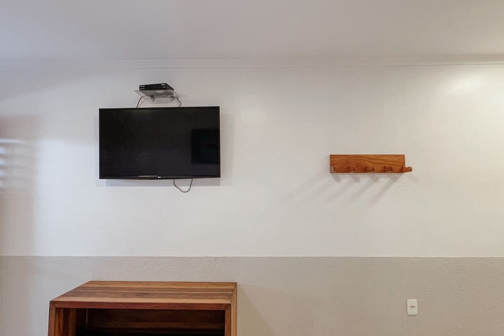 Television
