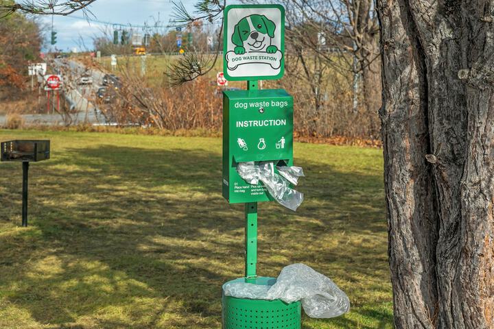 Pet-friendly amenities