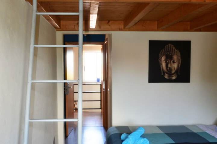 Room 15 of 65