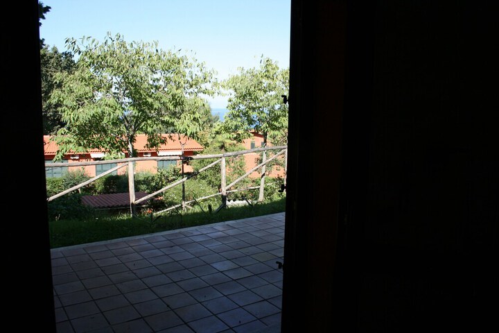 Terrace/Patio 21 of 199