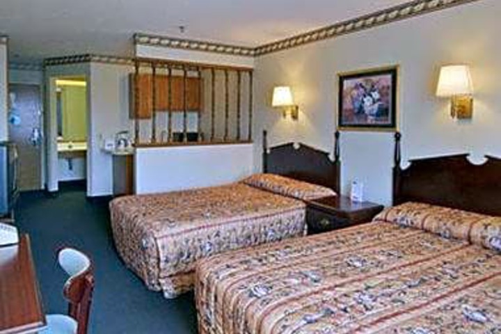 Guest Suite