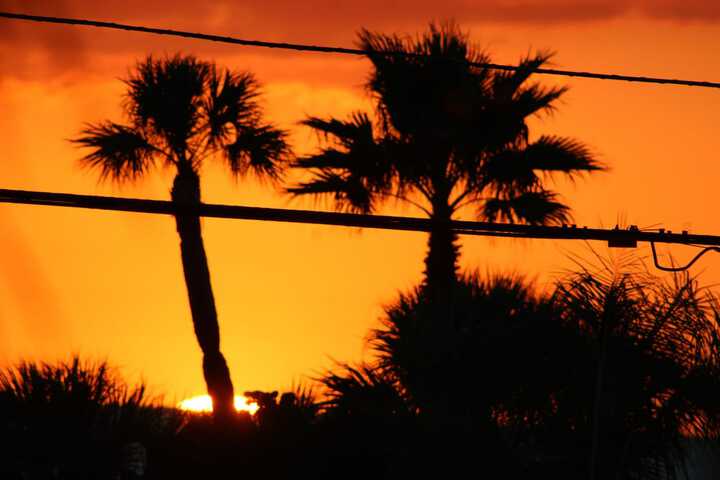 Pet Friendly 35 of 80