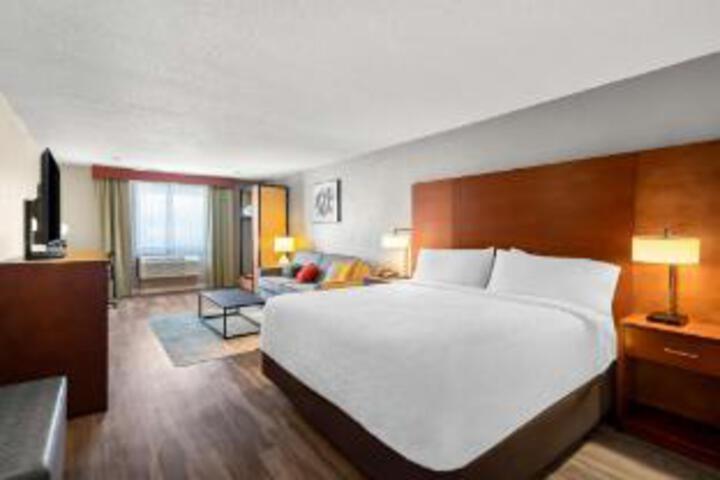 Suite Photo