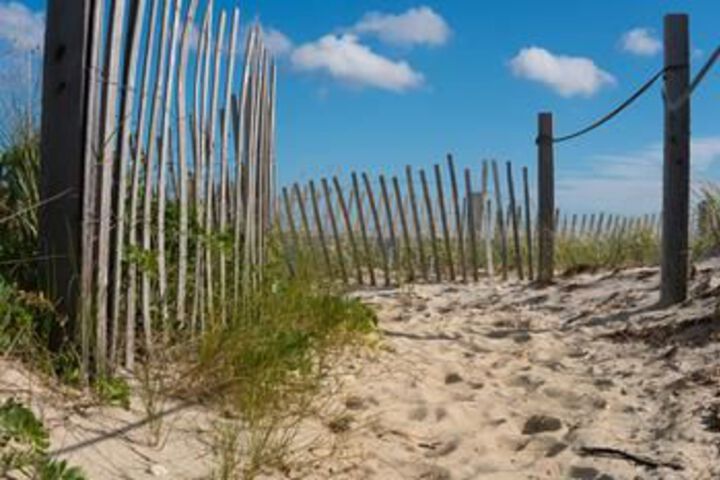 Beach 20 of 171