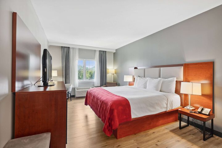1 King Bed (2 of 9)
