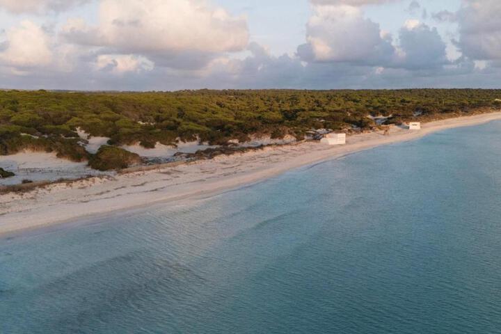 General 12 of 26